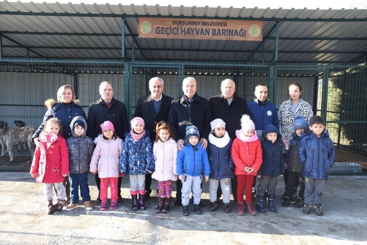 Dursunbey&rsquo;de başı boş hayvanlar ıslah edilecek