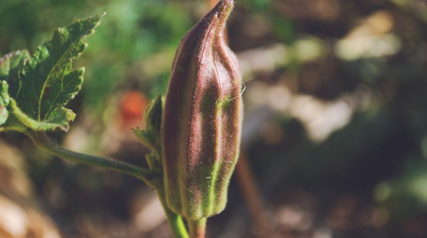 Glutatyon nedir, glutatyon ne işe yarar?