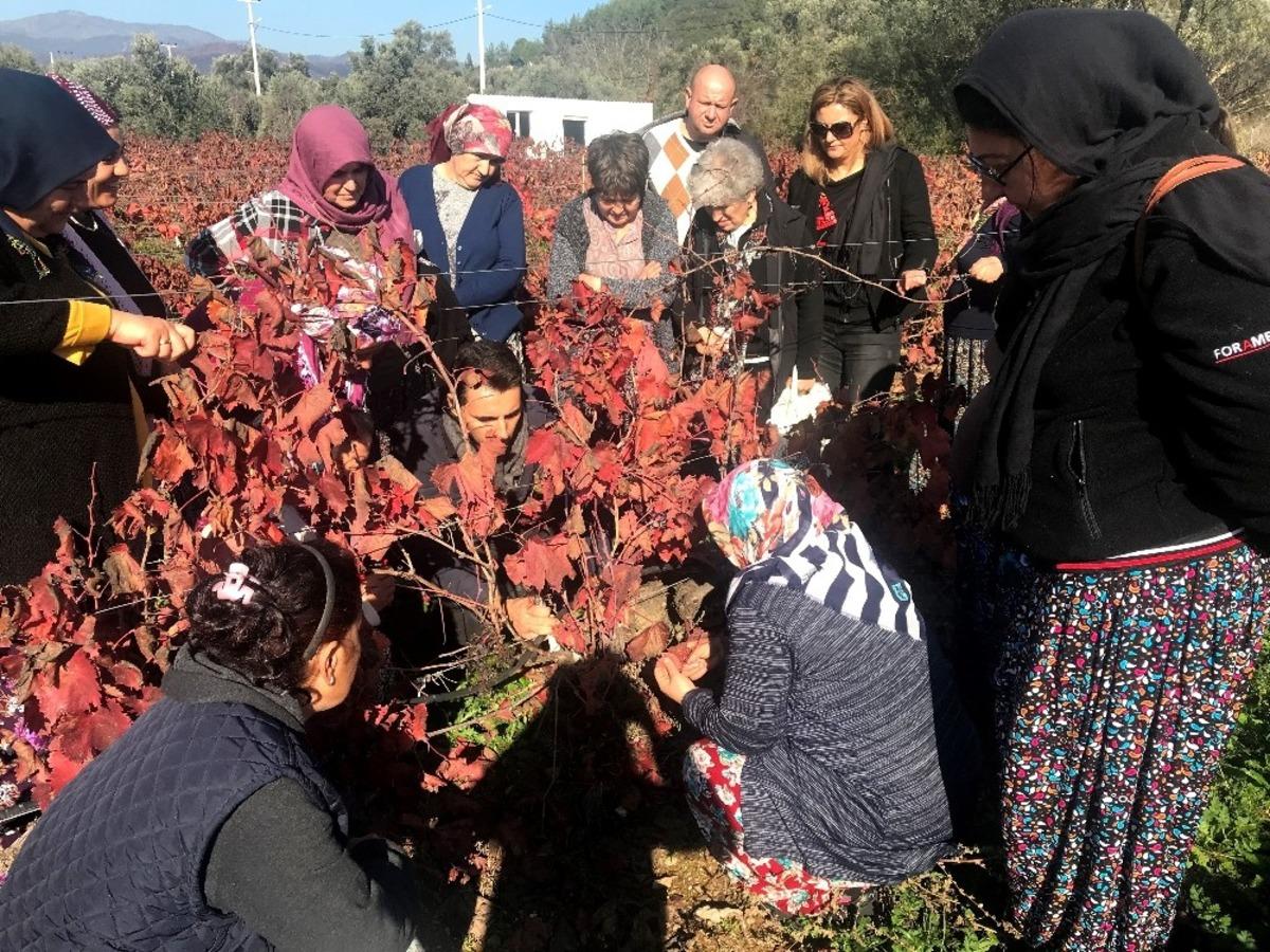 &Uuml;reticilere budama eğitimi