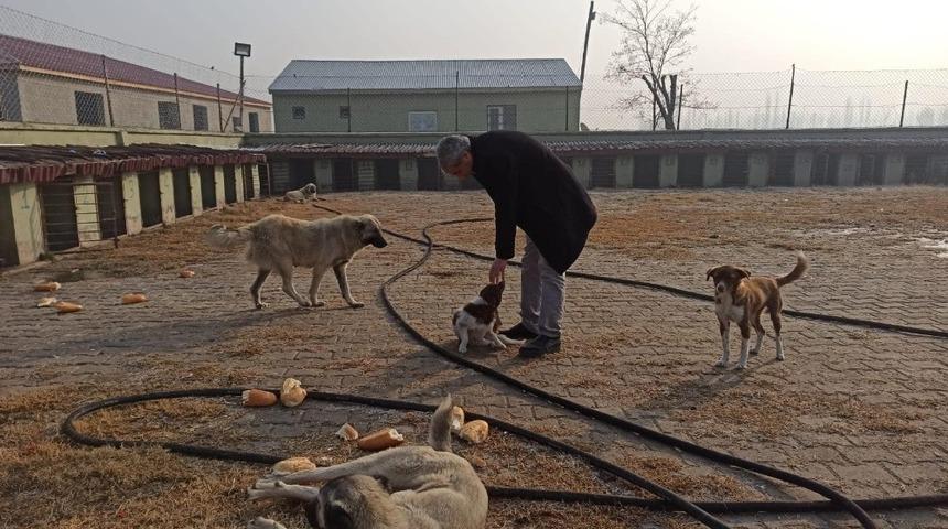 Ev ve s&uuml;s hayvanı satış yerleri denetlendi