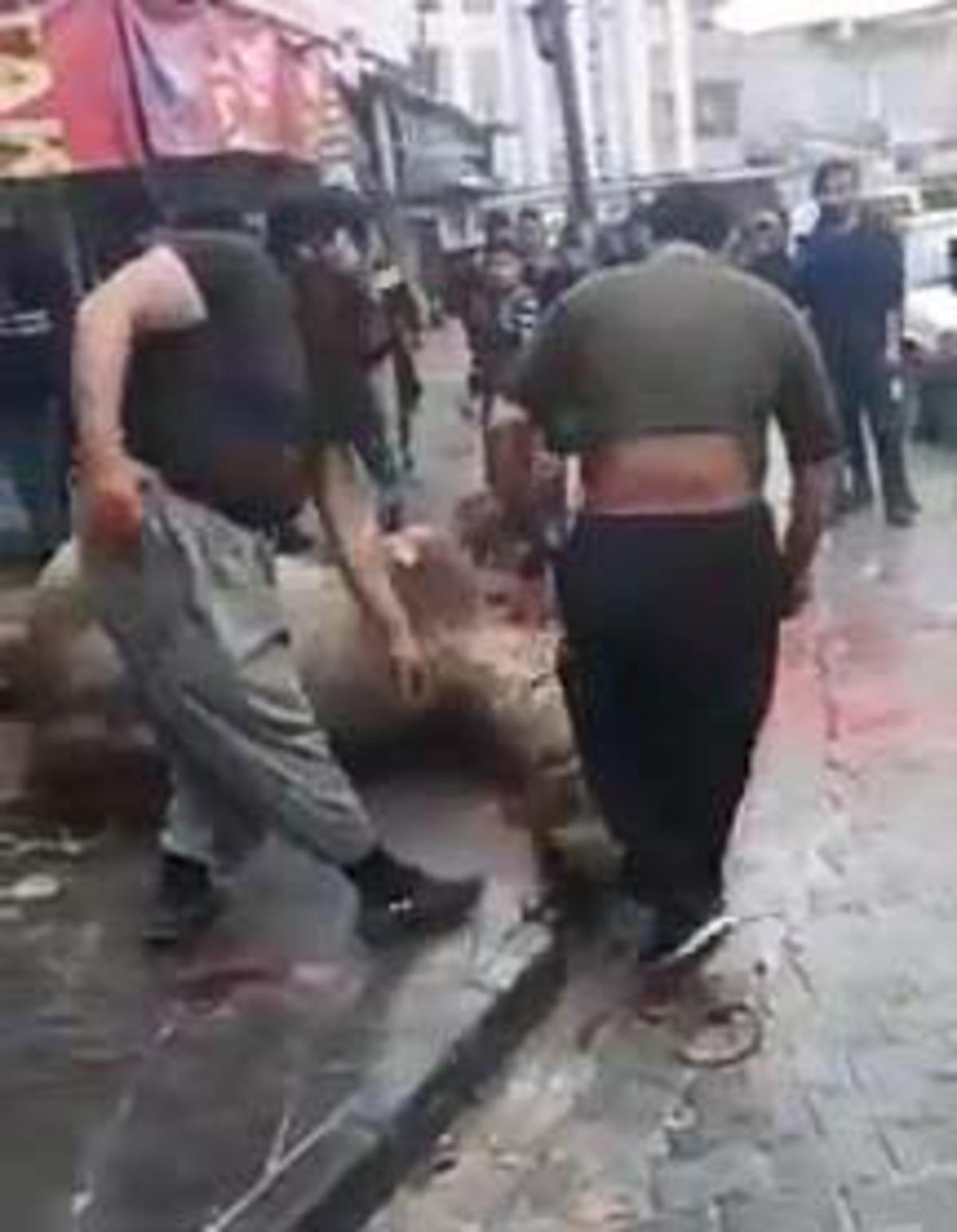 Şanlıurfa'da korkun&ccedil; g&ouml;r&uuml;nt&uuml;! Sokakta deve kesimi işkenceye d&ouml;nd&uuml;