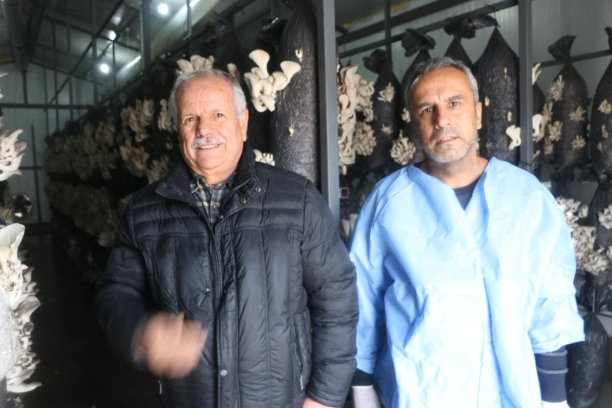 Arkadaşının tavsiyesi ile mantar tesisi kurdu