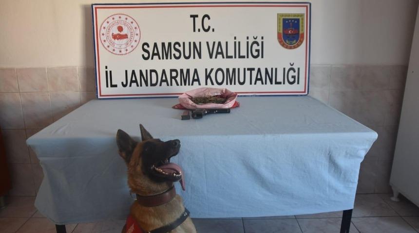 Bafra&rsquo;da kubar esrar ele ge&ccedil;irildi