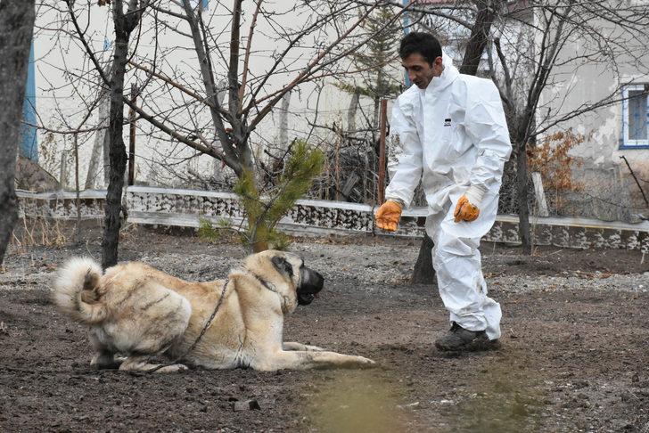 Boyu iki metre! 'Herkül'e paha biçilemiyor: 100 bin lira dahi verseler satmam G4