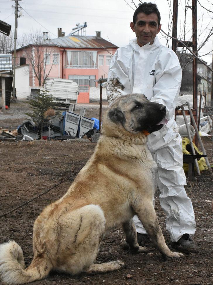 Boyu iki metre! 'Herkül'e paha biçilemiyor: 100 bin lira dahi verseler satmam G5