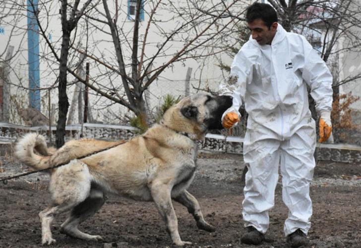 Boyu iki metre! 'Herkül'e paha biçilemiyor: 100 bin lira dahi verseler satmam G2