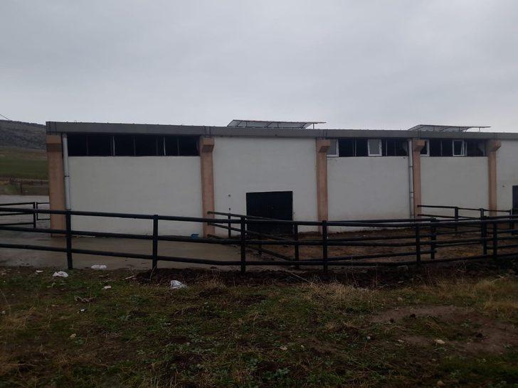 Diyarbakır’da ikinci Çiftlik Bank vakası Son Dakika Haberler