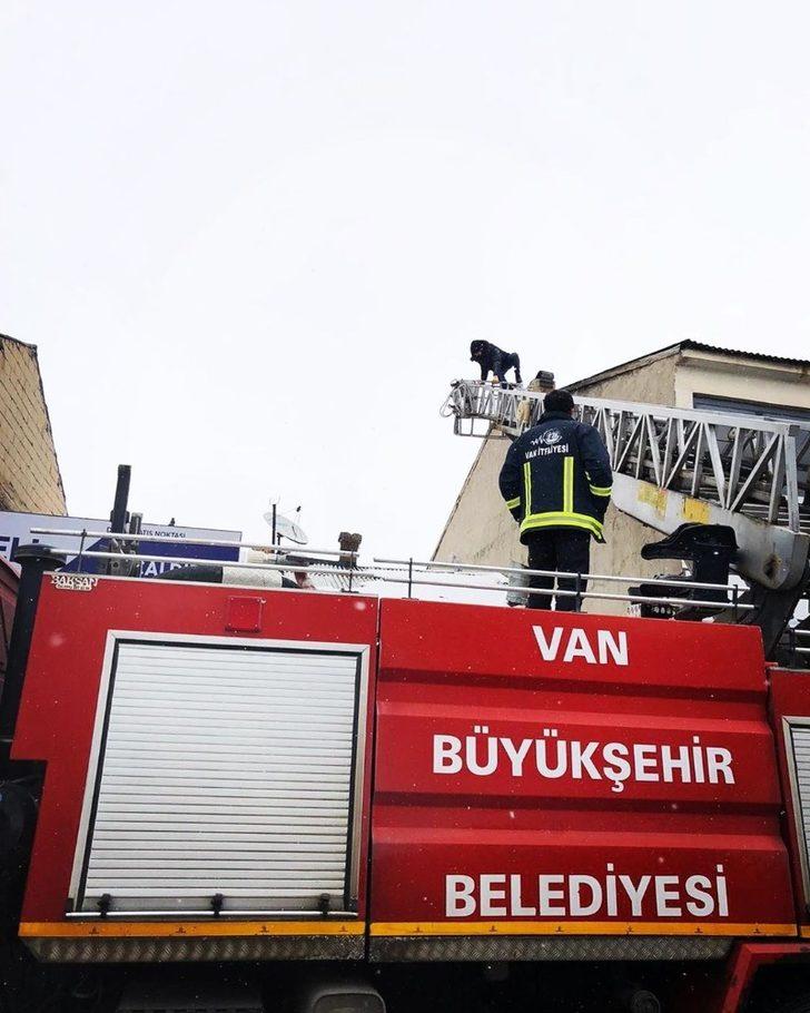 Soba bacasını temizlemek için çıktığı çatıda mahsur kaldı G2