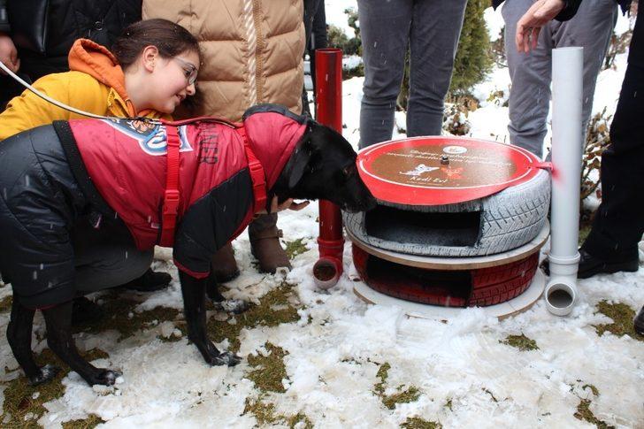Yükümlüler sahipsiz hayvanları yuvalarına kavuşturdu G2