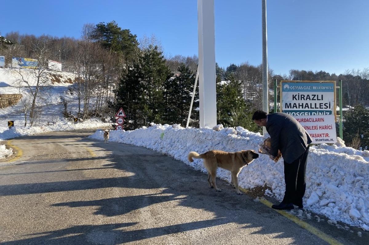 Uludağ&rsquo;daki kar ve soğuk onları vurdu