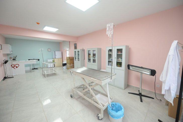 99 can dostu sahiplendirildi G5