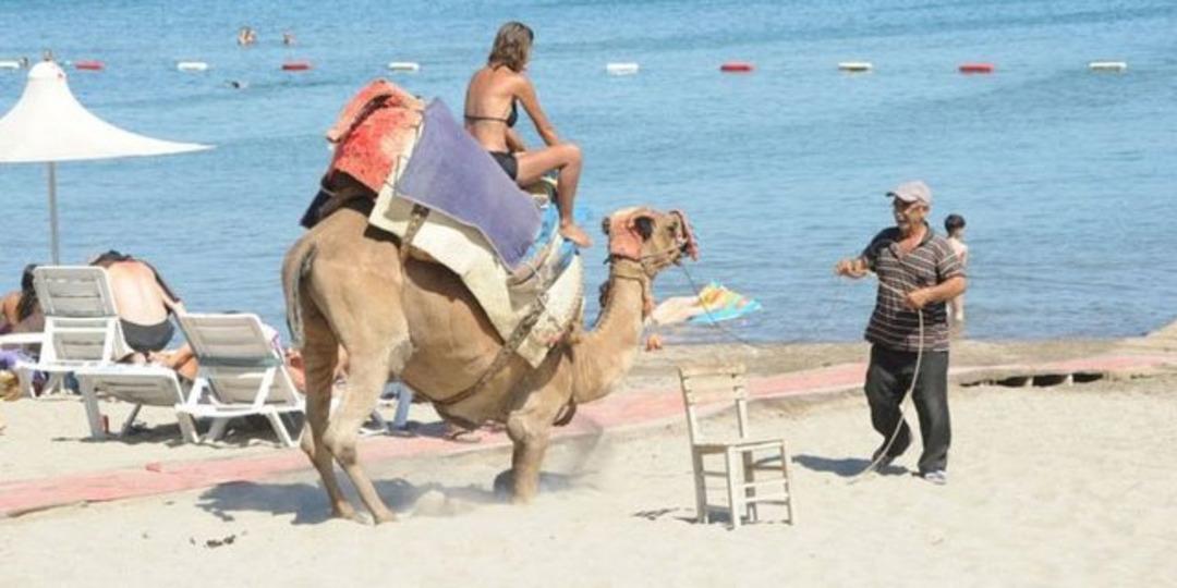 Halk plajına deveyle gitti