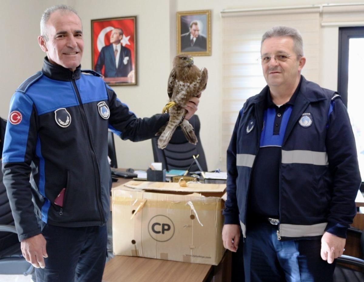 Yaralı şahine anında m&uuml;dahale