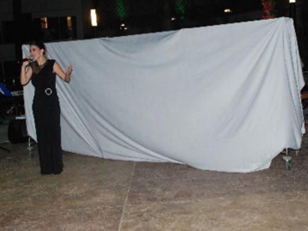 Erkekler g&ouml;r&uuml;nmesin diye paravan