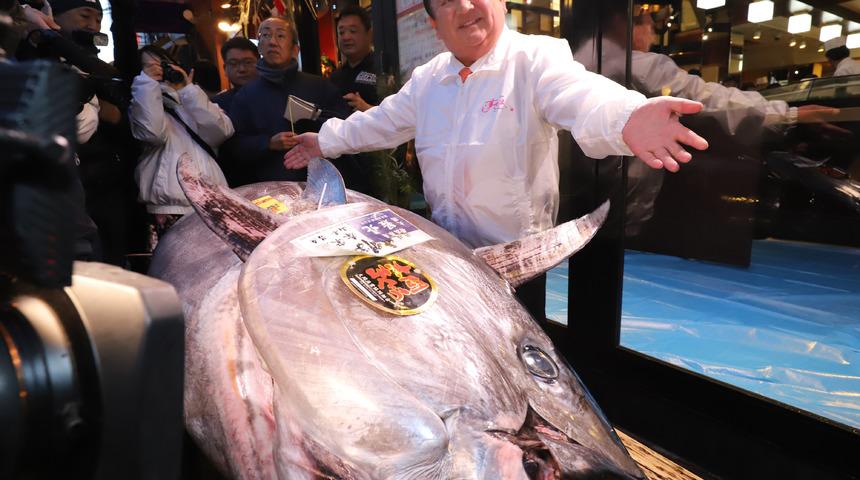 Orkinosa rekor fiyat! Tam 11 milyon TL'ye satıldı