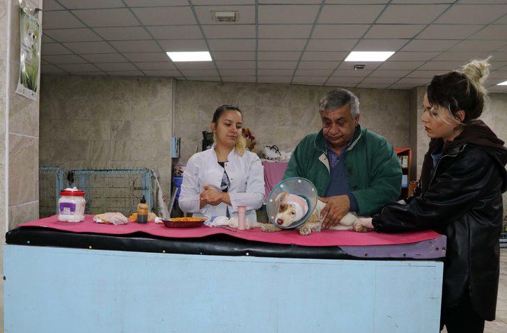 Gaziantep'te vahşet! Köpeğin kulağını kestiler sonra da dikmeye çalıştılar G4