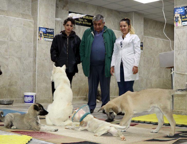 Gaziantep'te vahşet! Köpeğin kulağını kestiler sonra da dikmeye çalıştılar G5