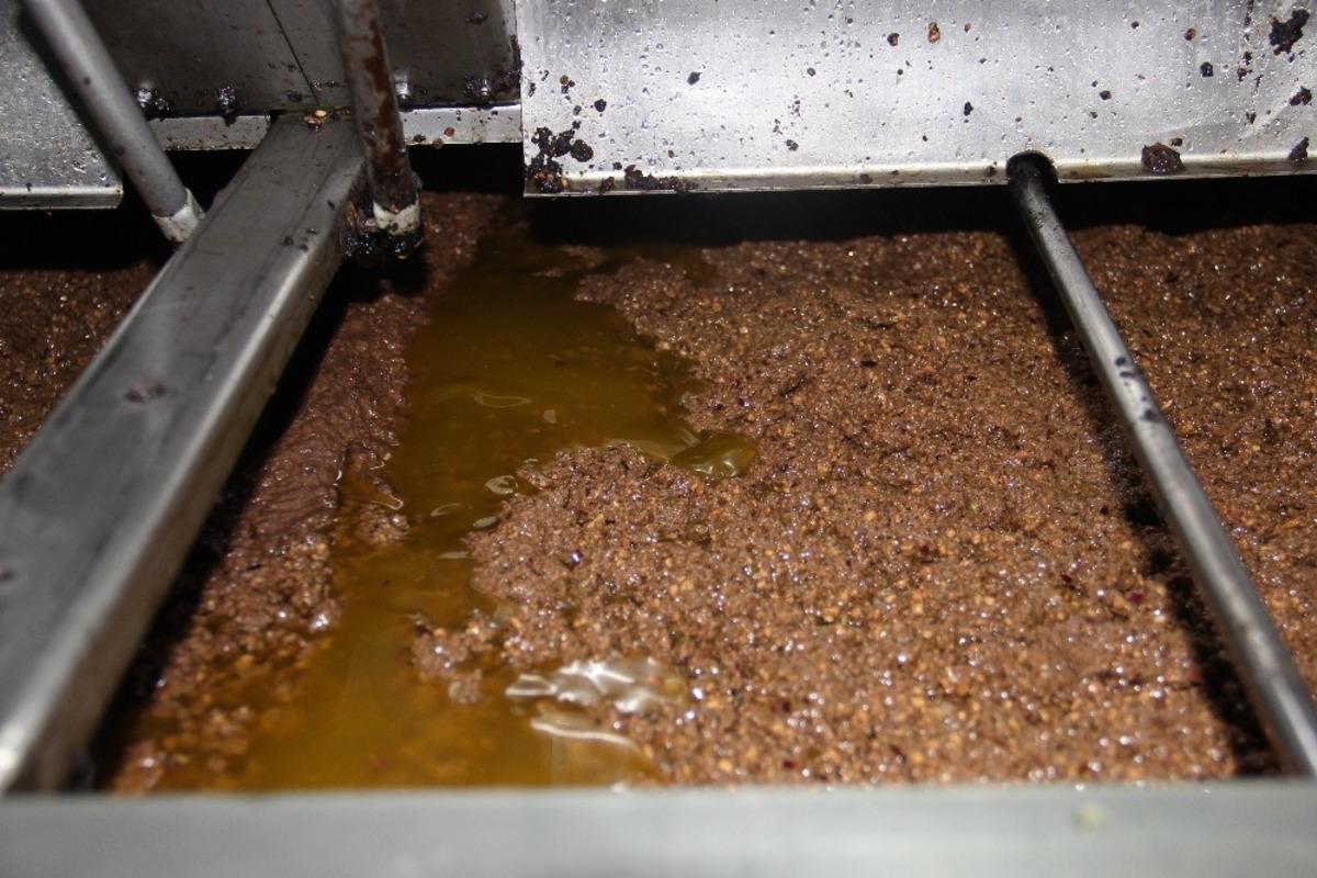 Zeytinyağı kalitesi i&ccedil;in 24 saat &ccedil;alışıyorlar