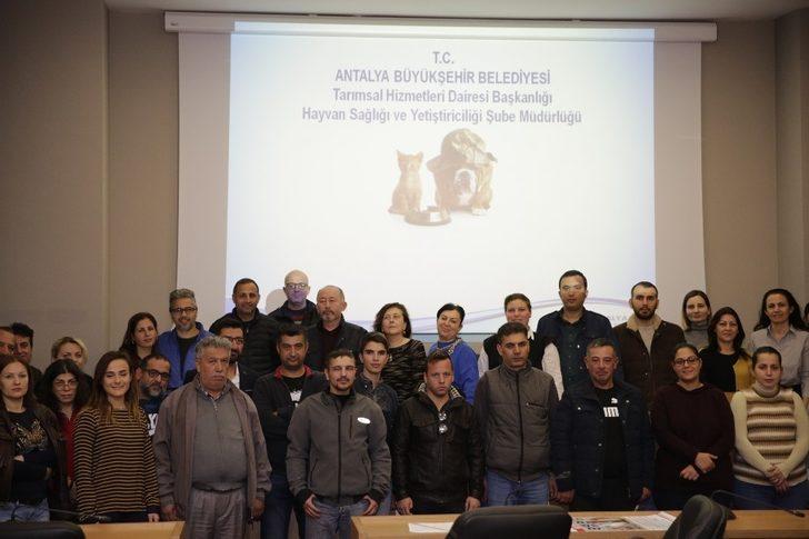 Hayvan ambulansı ile 2019 yılında 9 bin ihbara müdahale edildi G3