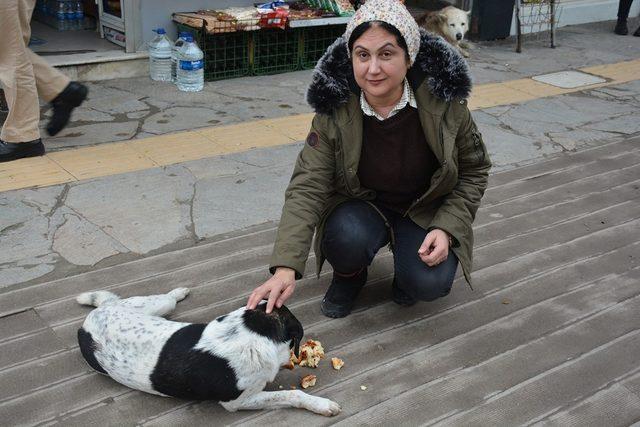 Soğuk kış aylarında sokak köpeklerine destek oluyor