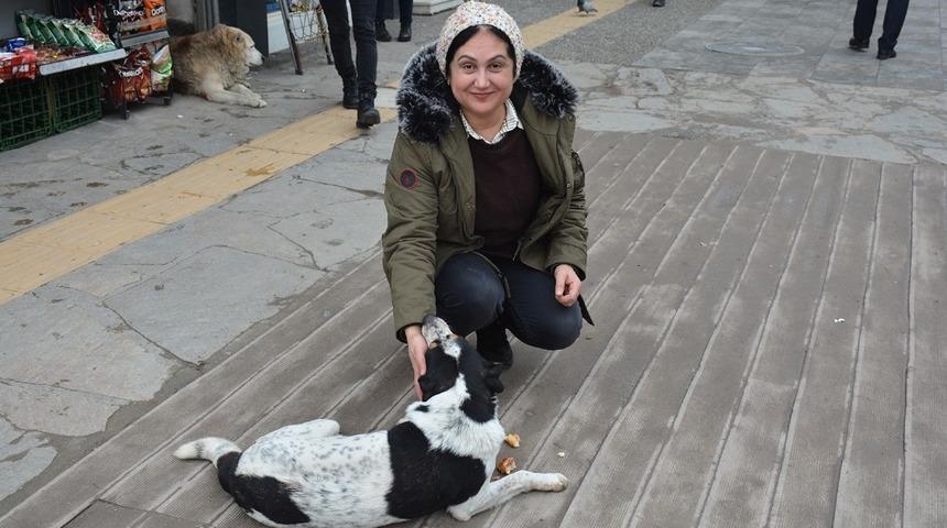 Soğuk kış aylarında sokak k&ouml;peklerine destek oluyor