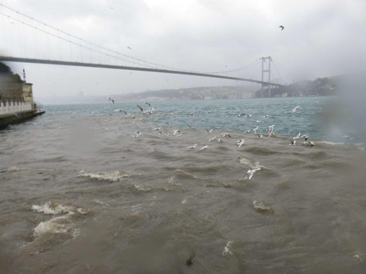 Üsküdar'da denize çamur aktı, Boğaz'ın rengi değişti G3