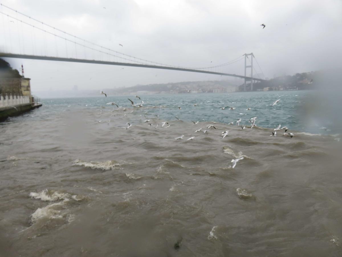 &Uuml;sk&uuml;dar'da denize &ccedil;amur aktı, Boğaz'ın rengi değişti
