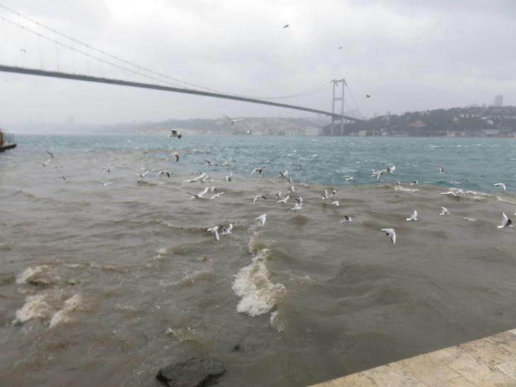Üsküdar'da denize çamur aktı, Boğaz'ın rengi değişti G4