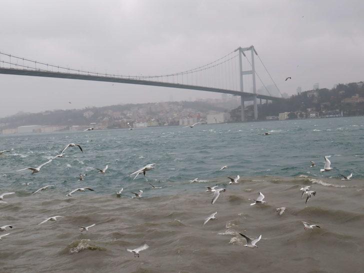 Üsküdar'da denize çamur aktı, Boğaz'ın rengi değişti G2