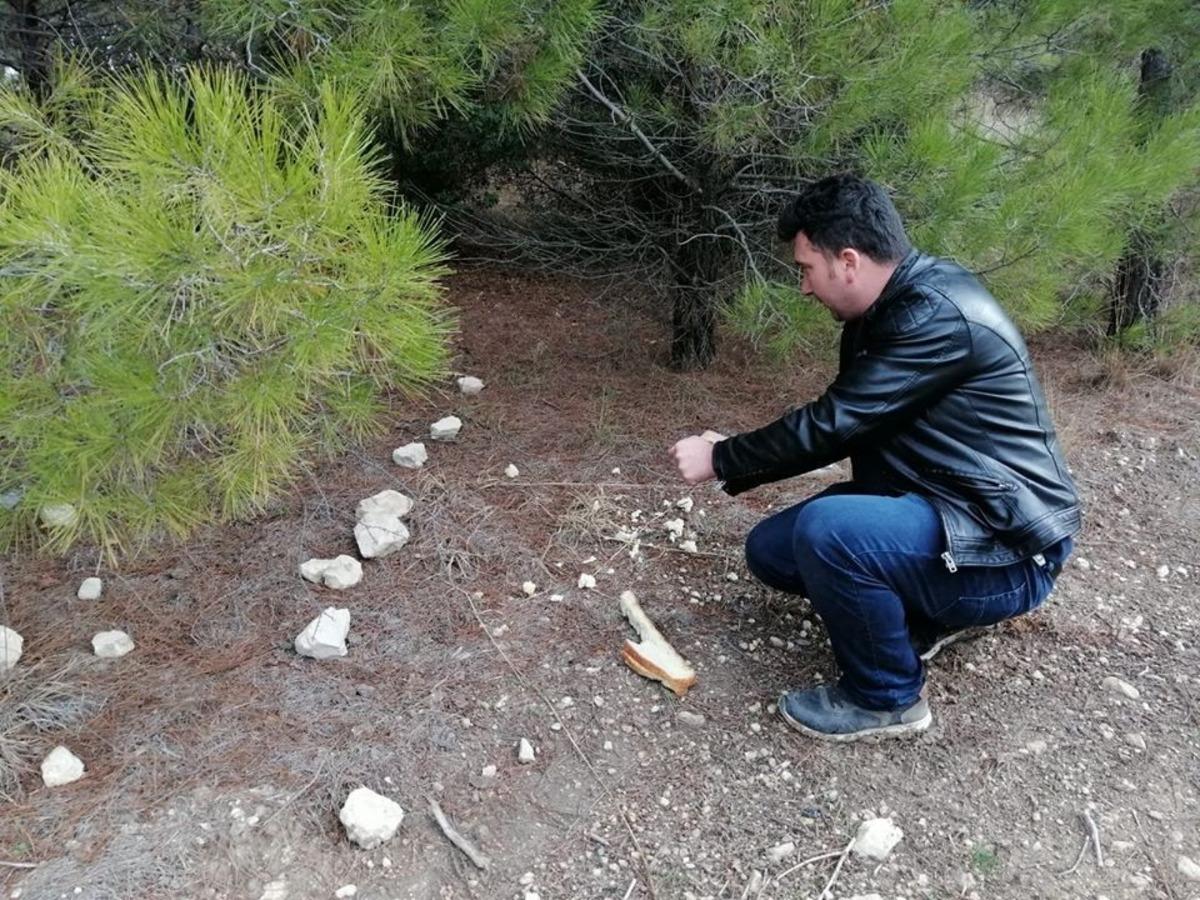 &Uuml;lk&uuml;c&uuml; Ocakları doğaya yem bıraktı