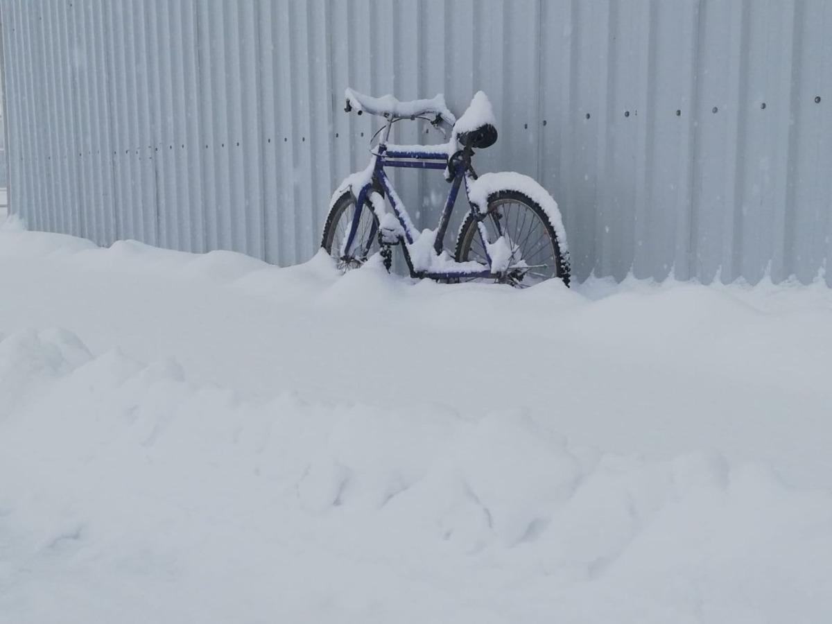 Kar sevincinin en g&uuml;zeli fotoğrafı