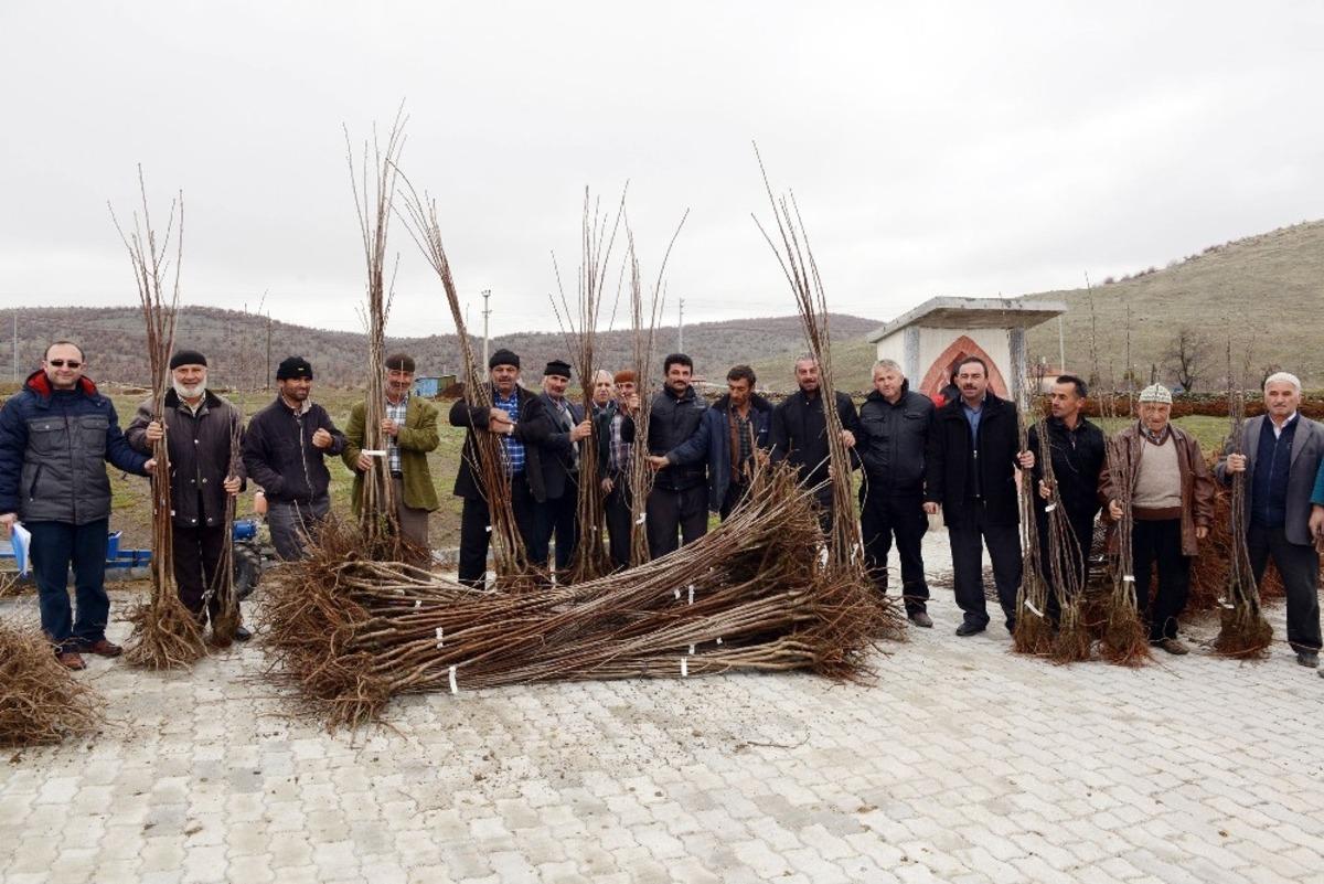 Konya B&uuml;y&uuml;kşehir&rsquo;den &ccedil;ift&ccedil;iye ve &uuml;reticiye tam destek