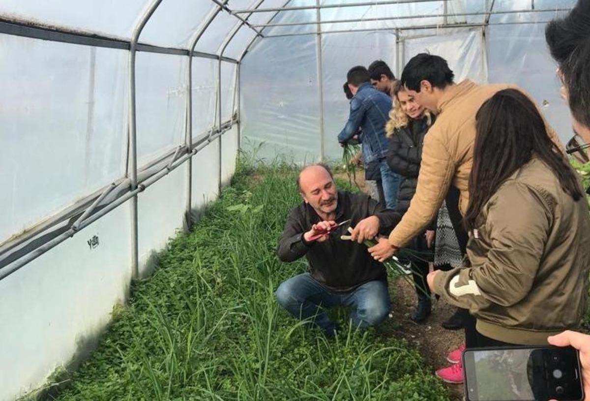 Bafra Dedeli Tarım Meslek Lisesinde d&ouml;ner sermaye işletmesi kuruldu