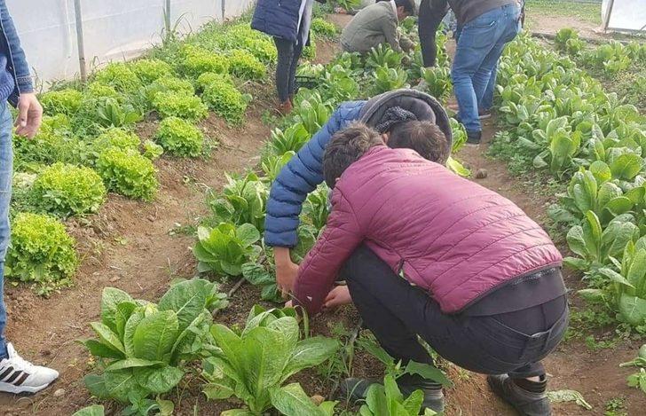 Bafra Dedeli Tarım Meslek Lisesinde döner sermaye işletmesi kuruldu G4