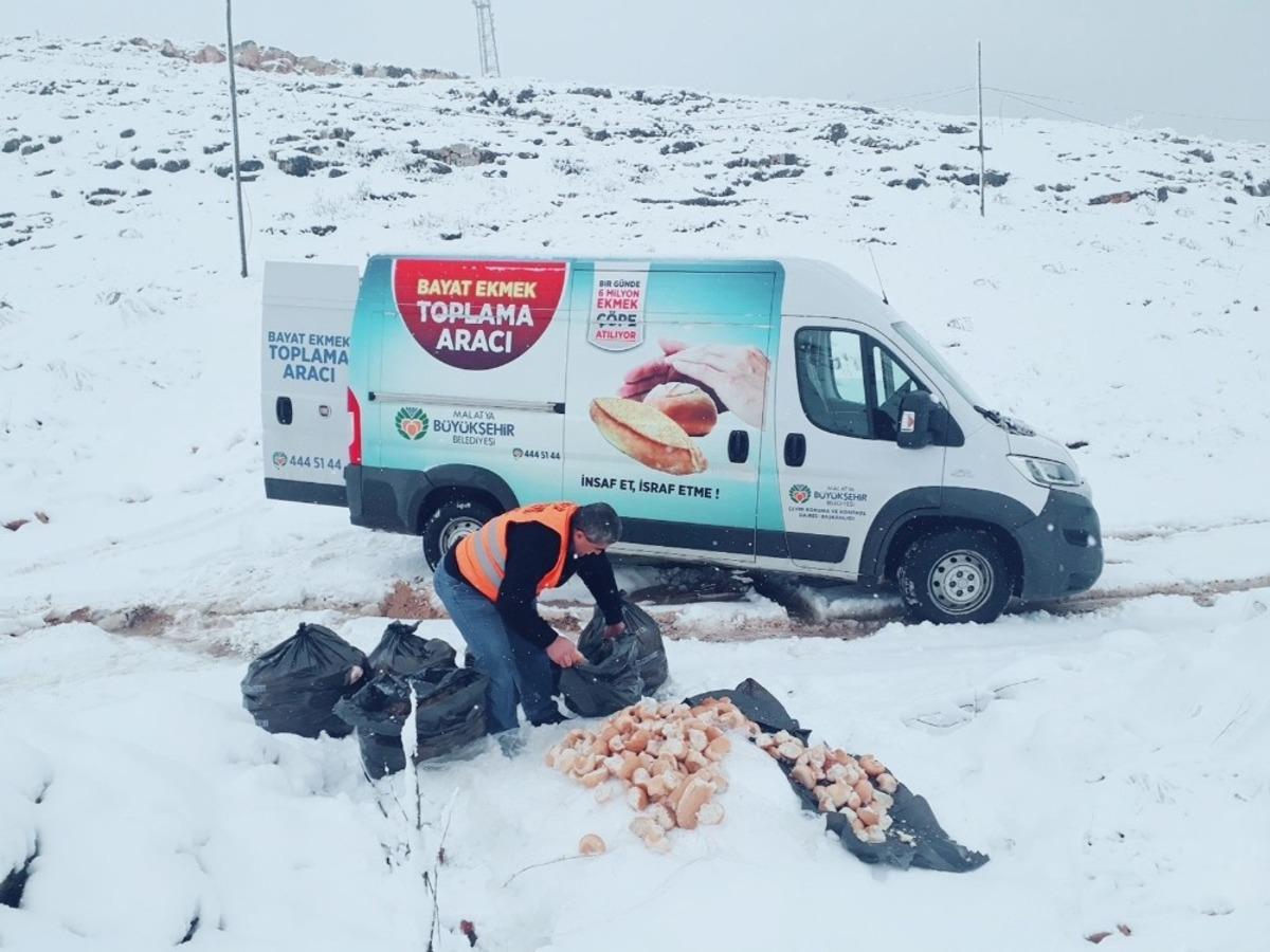 Malatya B&uuml;y&uuml;kşehir Belediyesi&rsquo;nden hayvanlara şefkat eli