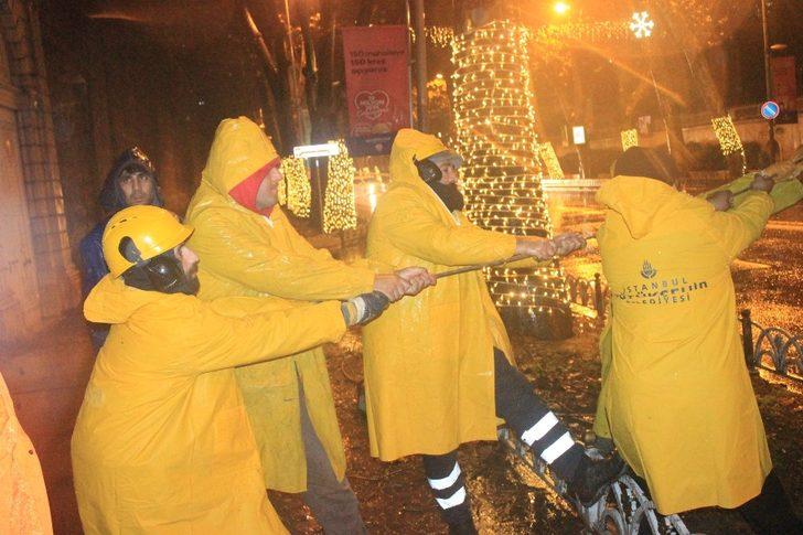 Dolmabahçe’de yola devrilme tehlikesi bulunan ağaç kesildi G5