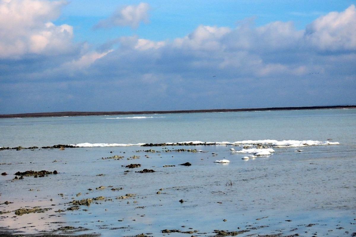 2 ay &ouml;nce kuruyan g&ouml;le yağışla birlikte kuşlar akın etti