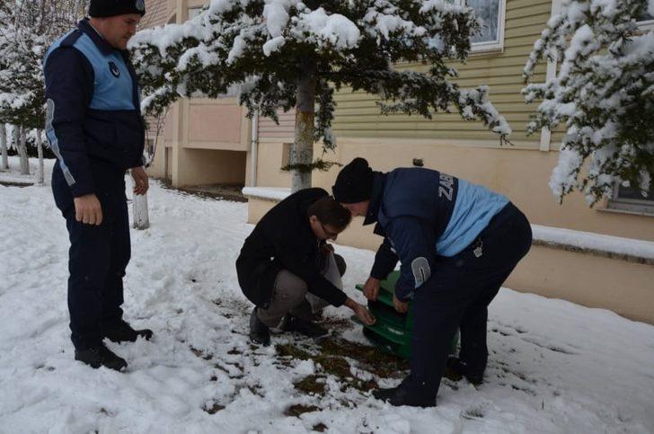 Emet Belediyesi sokak hayvanlarını unutmadı G3