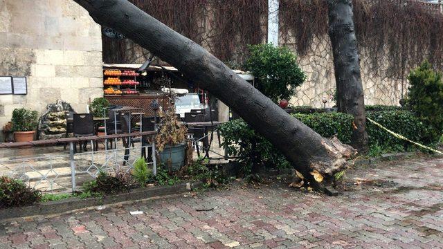 (Özel) Çatısına ağaç düşen 234 yıllık tarihi sebil zarar gördü