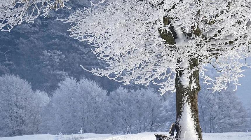 300 milyon insanın ortak sorunu! Soğuk hava tetikliyor