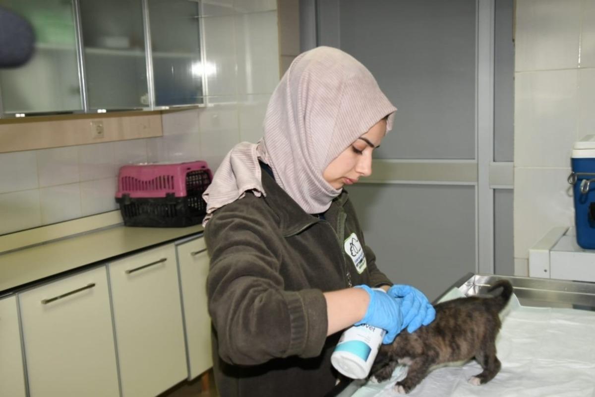 Soğukta kalan yavru k&ouml;peğe belediye ekipleri sahip &ccedil;ıktı