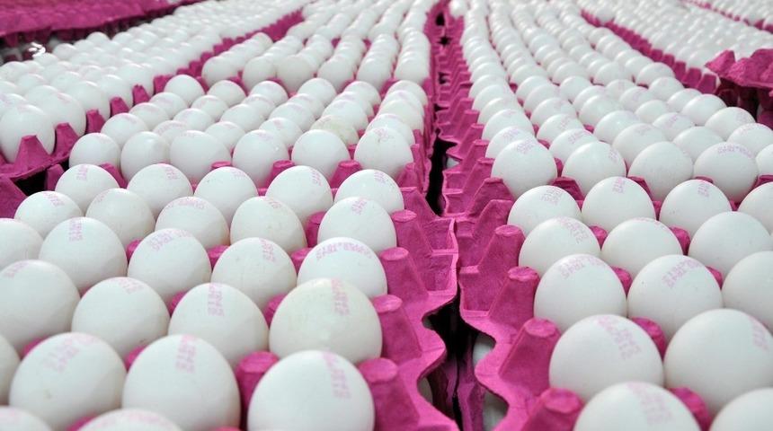 Yumurtada toptan satışta KDV indirimi sevindirdi