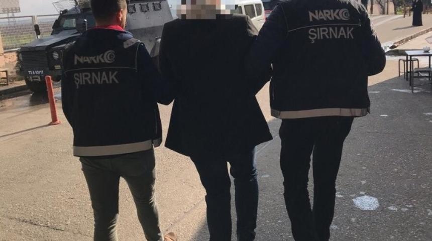 Cizre&rsquo;de torbacılık yapan bir kişi tutuklandı