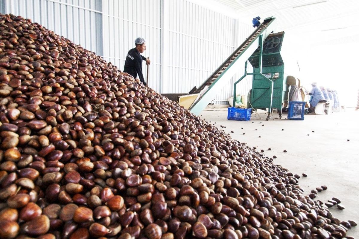 Yaş meyve sebze ihracat&ccedil;ılarının 2020 hedefi 1 milyar dolar ihracat