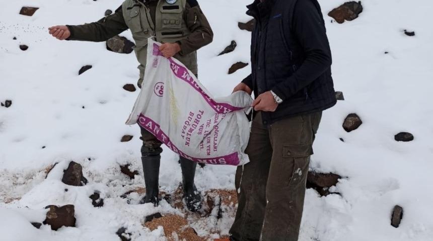 Muş DKMP tarafından yaban hayvanları i&ccedil;in doğaya yem bırakıldı
