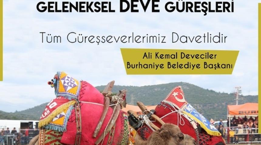 Burhaniye Zeytin ve Zeytinyağı Festivaline hazırlanıyor