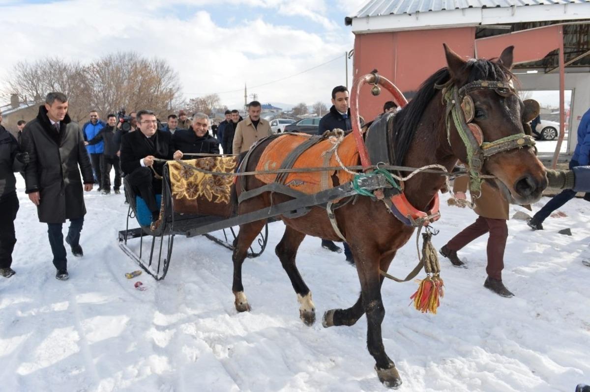 Erzurum Valisi Memiş, atlı kızağa binerek s&uuml;t ve besi tesislerini inceledi