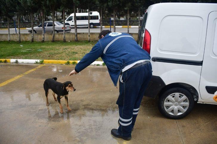 Hayvan dostu Biga Belediyesi G3