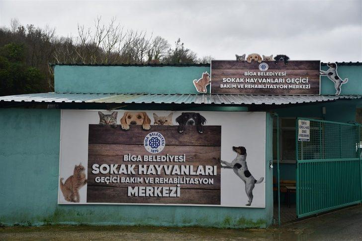 Hayvan dostu Biga Belediyesi G5
