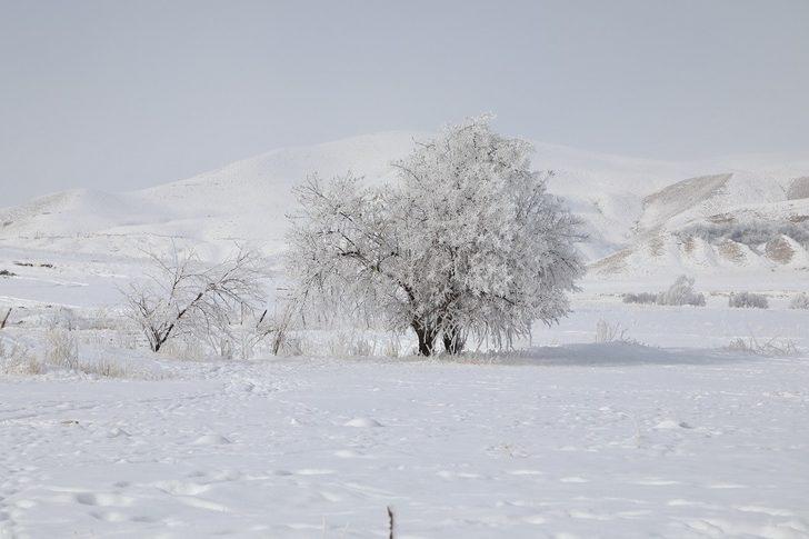 Başkale’de hayat adeta buz kesti G2